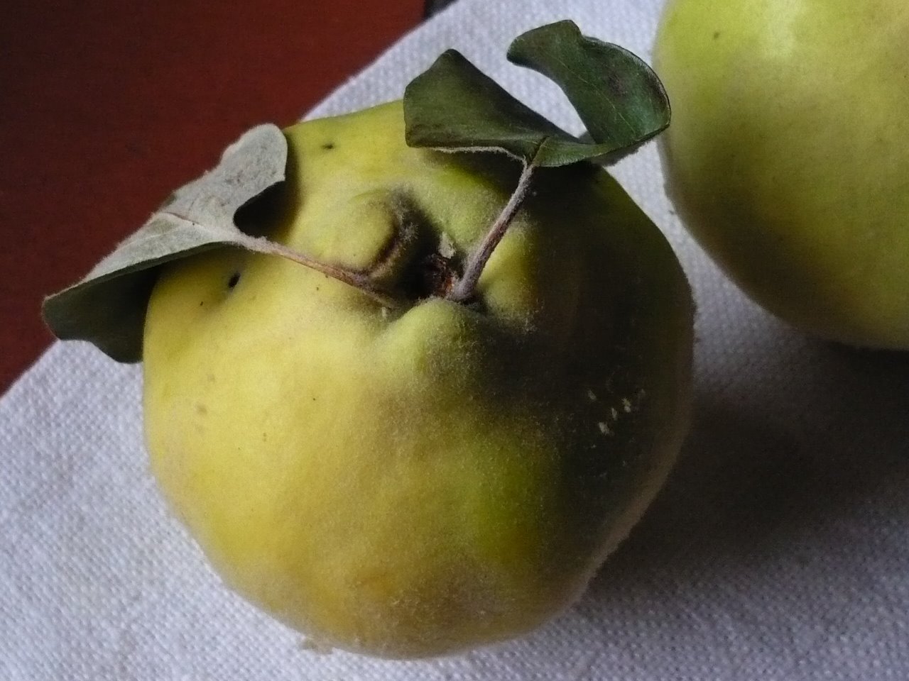 [P1020152.JPG]