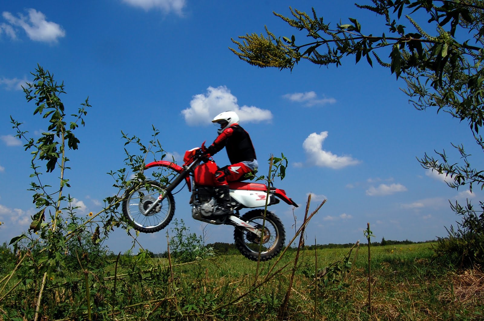 [DSC_5779.JPG]