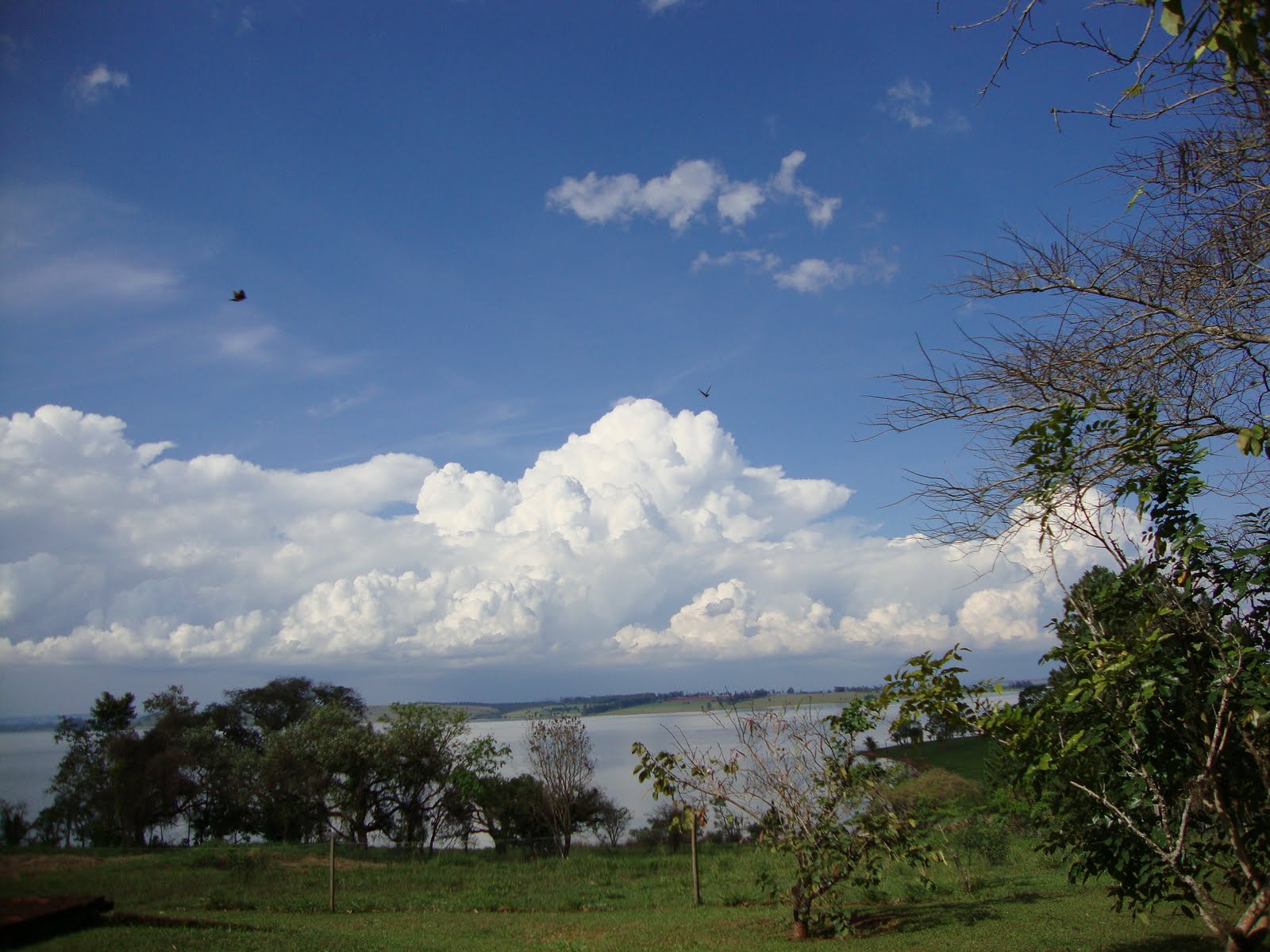 [1+DSC00528.JPG]