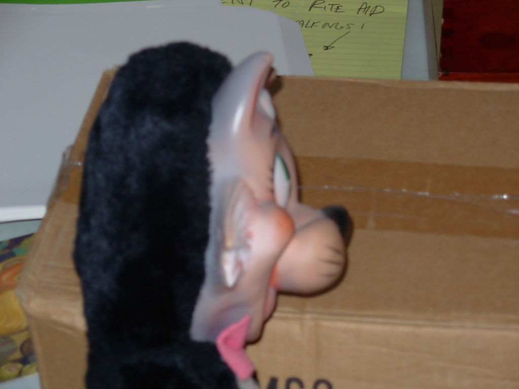 [DSCN0977.JPG]