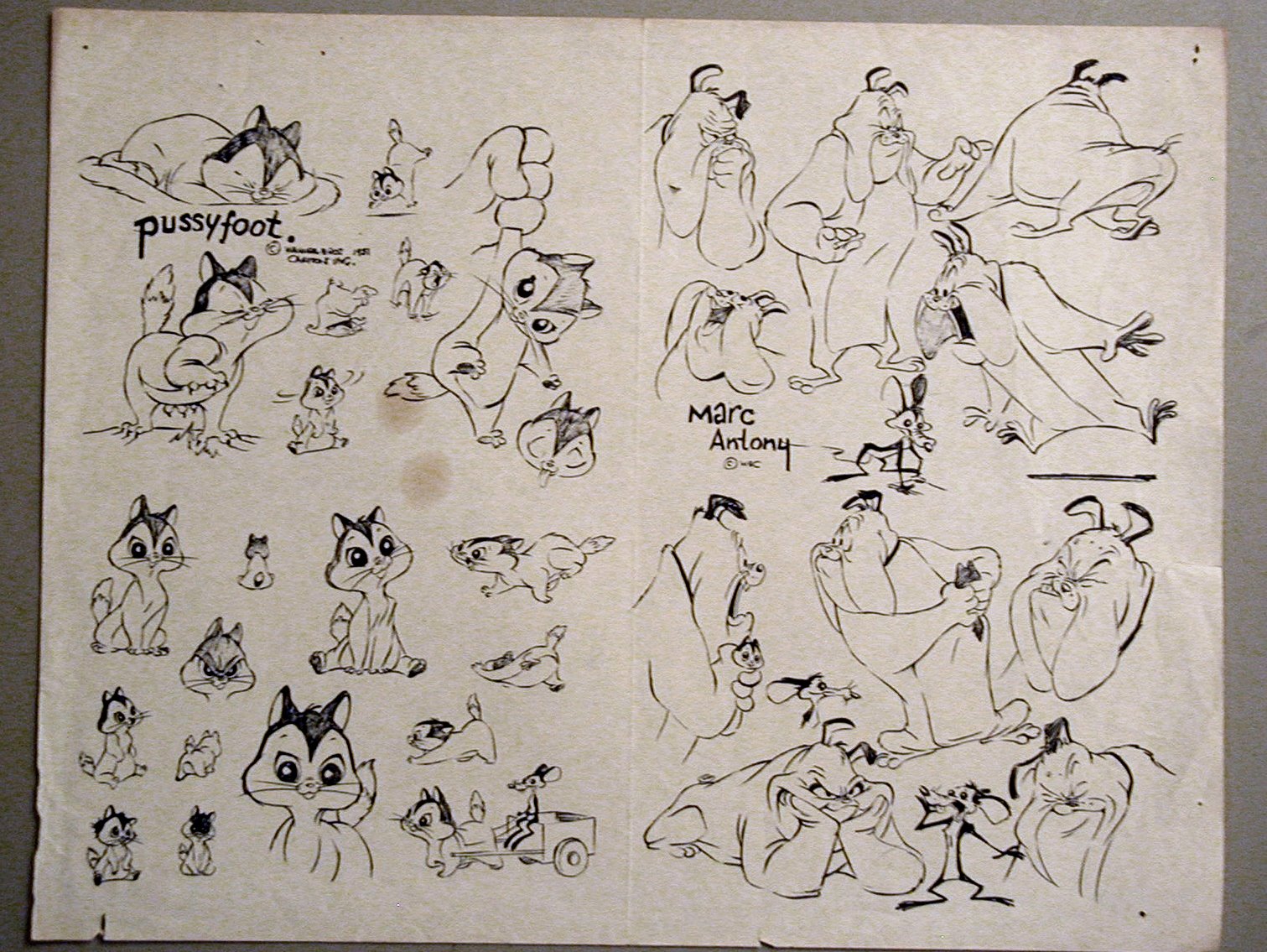 [modelPussyfoot.jpg]