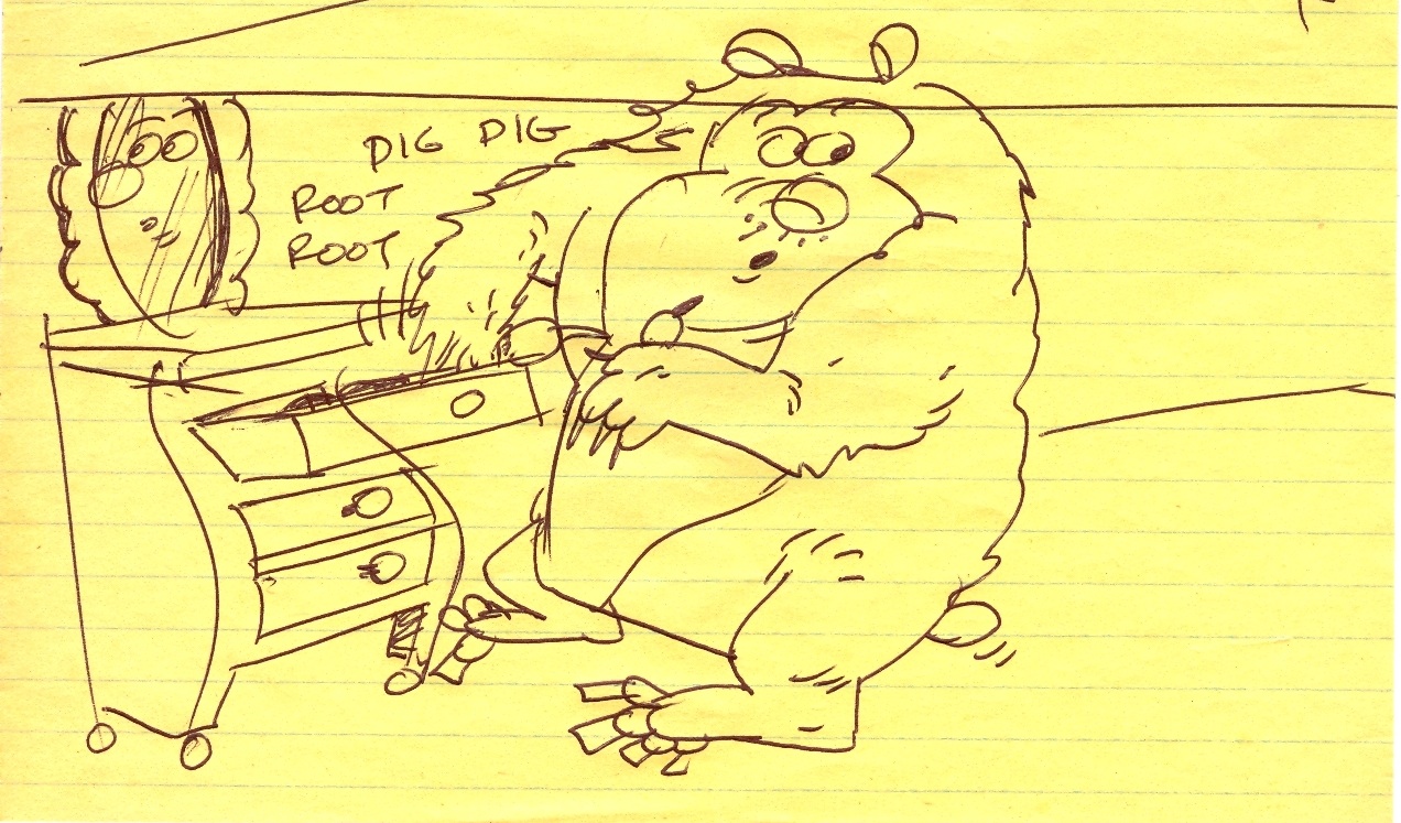 [2bsockdrawer.jpg]