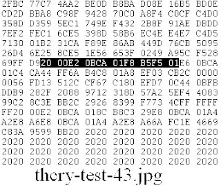 Hex dump of thcry-test-43.jpg