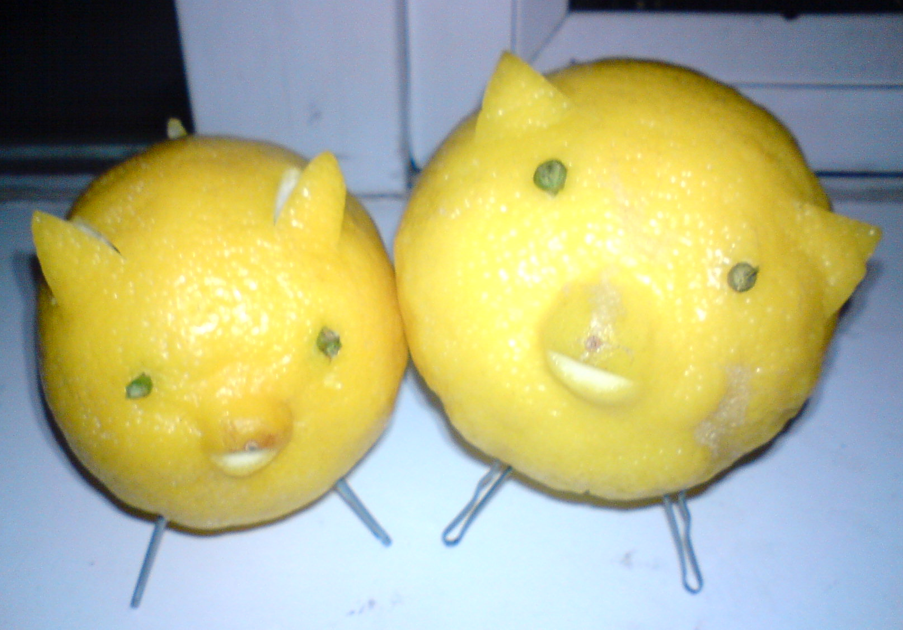 Ella Collinge Lemon Pigs
