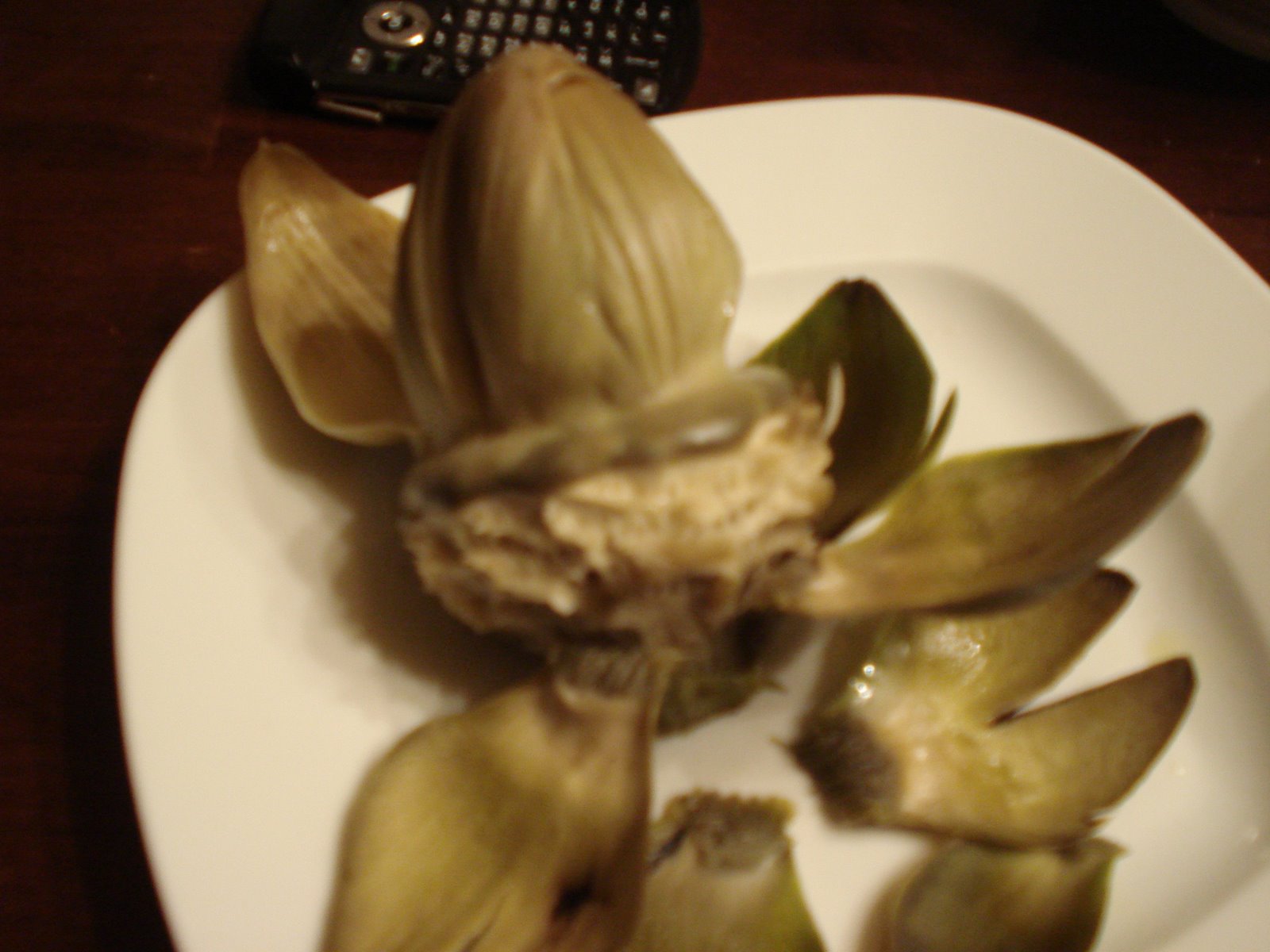 [DSC03985.JPG]