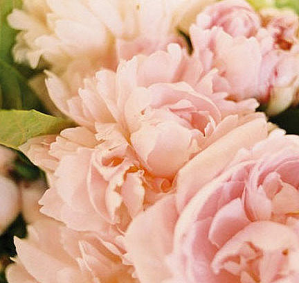 [Flicker+-+weddingideasforkerry.jpg]