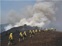Brigada de Incêndio florestal