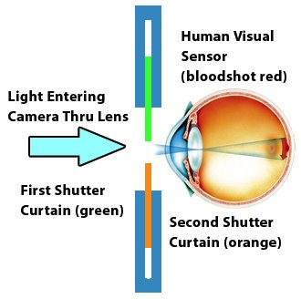 [Shutter_Slit_Eyeball.jpg]