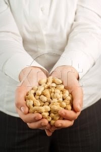 Peanuts If You Dont Tip Us, We Feed the Elephants