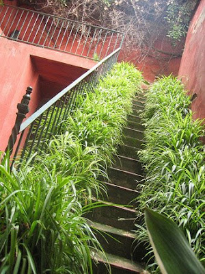 ESTILO RUSTICO: EL PATIO RUSTICO / THE RUSTIC COURTYARD