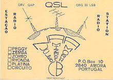 QSL CARD NAA-CB