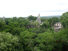 VIEW OF OTHER TEMPLES FROM ATOP TEMPLE II