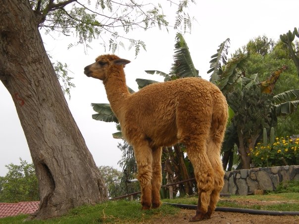 [n664631866_1320313_739.jpg]