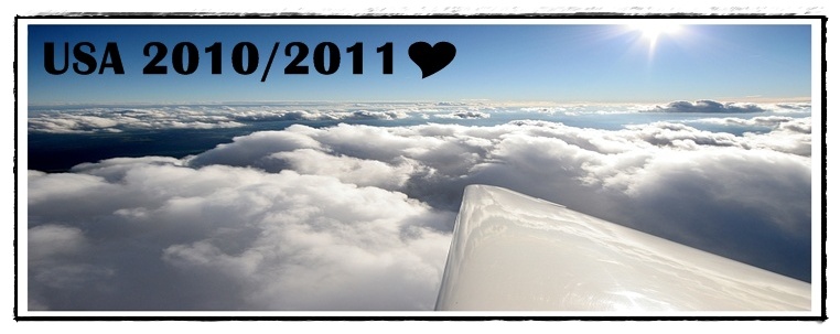 Take your chance and fly away...