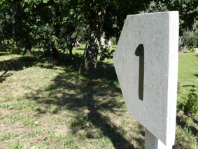 [design_com_texto246.jpg]