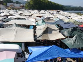 [design_com_texto500.jpg]