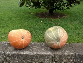 [design_com_texto497.jpg]