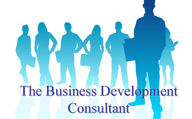The Business Development Consultant
