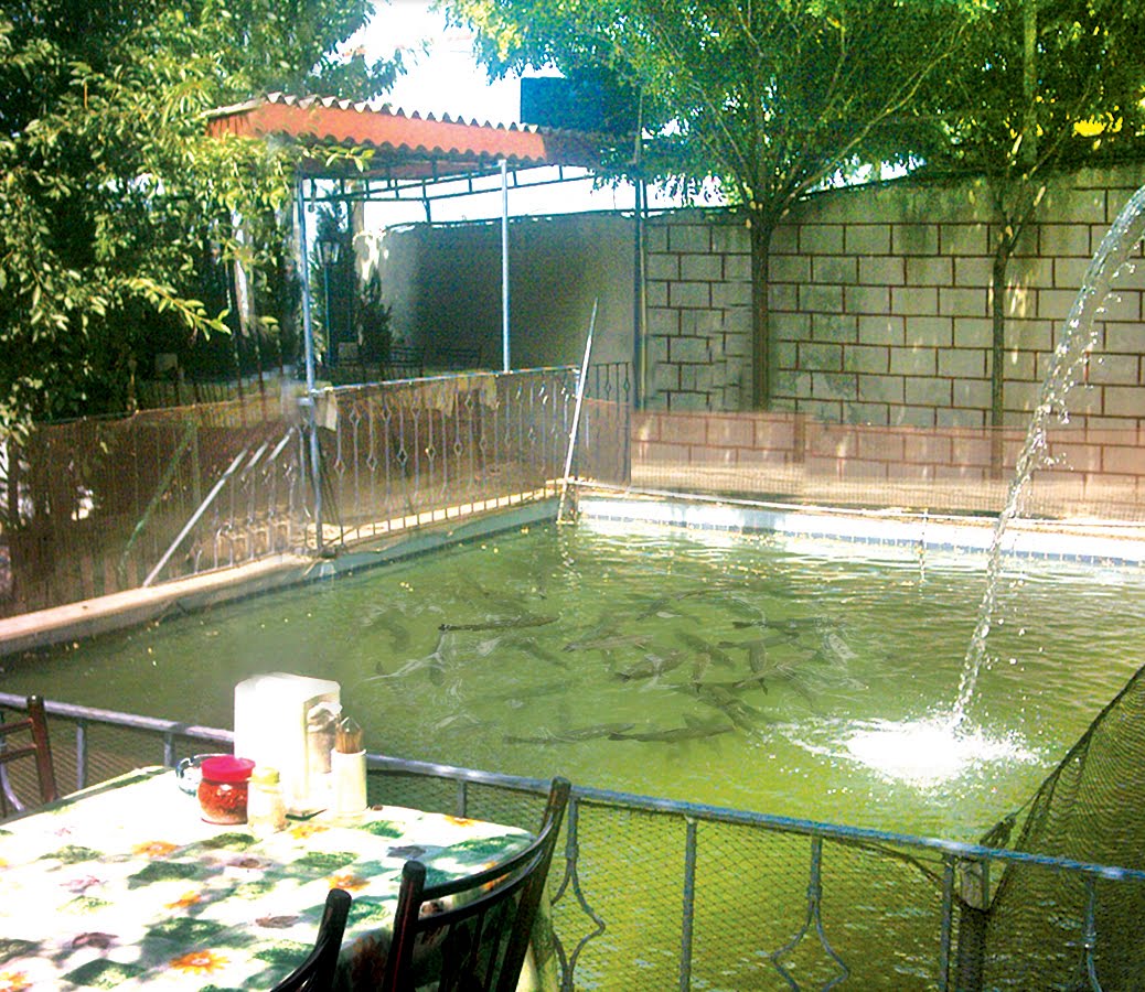 BURSA BALIK LOKANTALARI,,BURSA ALABALIK TESISLERİ GİZLİ VADİ ALABALIK