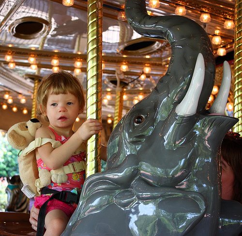[carousel.jpg]