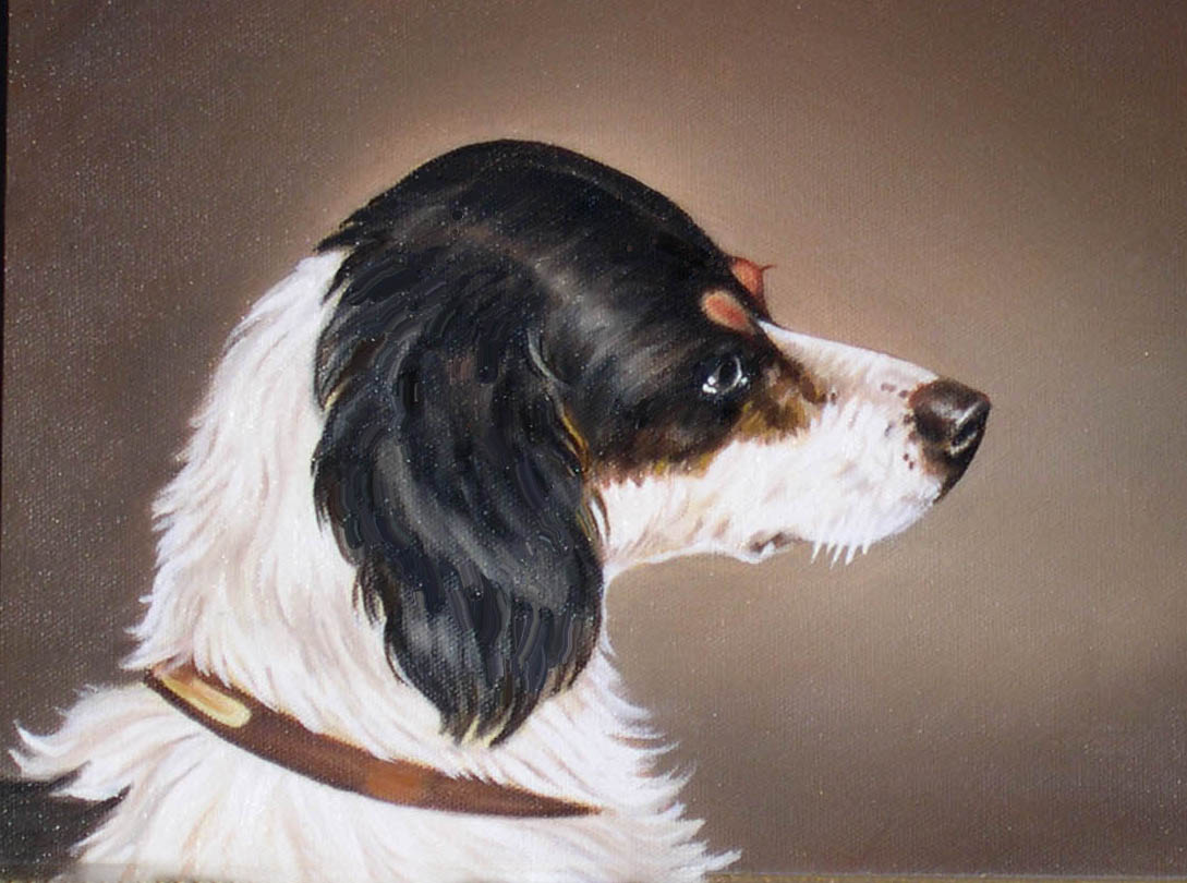 [spaniel.pg]
