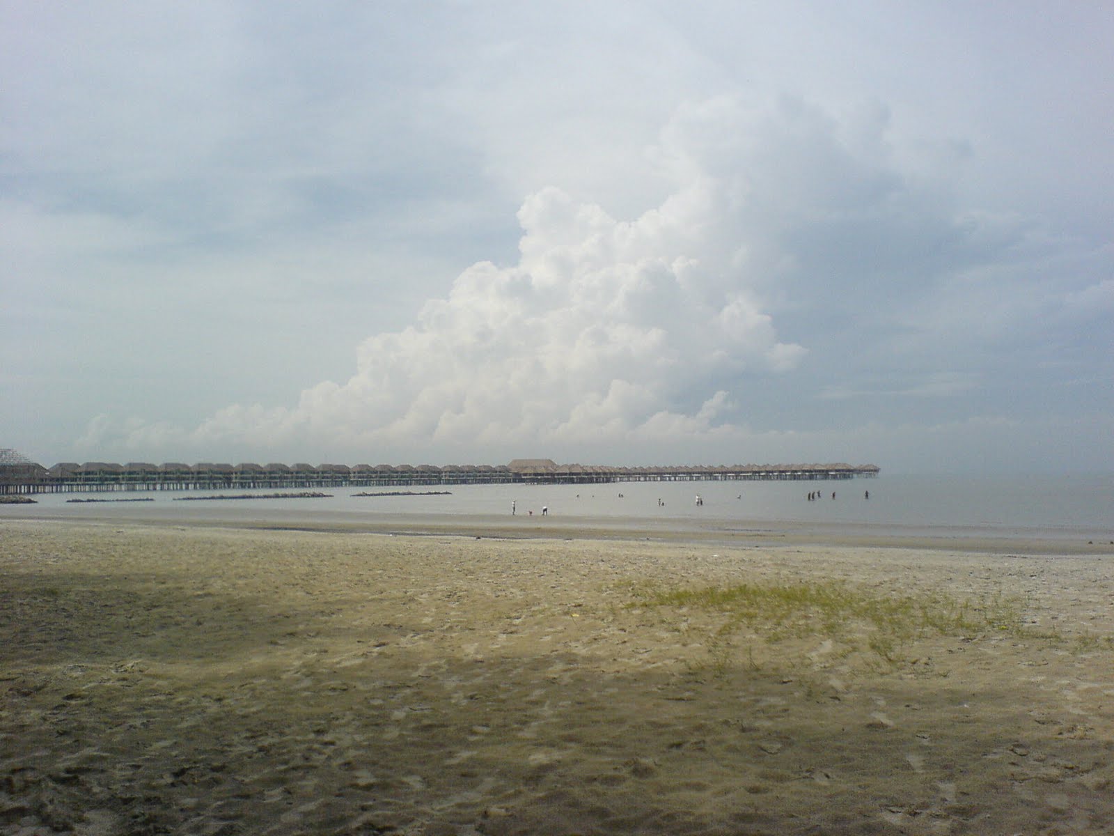 [DSC03699.JPG]