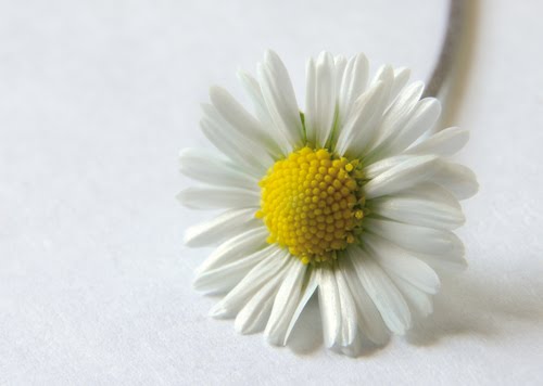 [ap4ad898d972f2e_small.jpg]