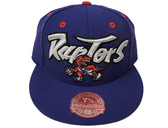 throwback toronto raptors hat