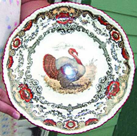 [turkey+plate4.jpg]
