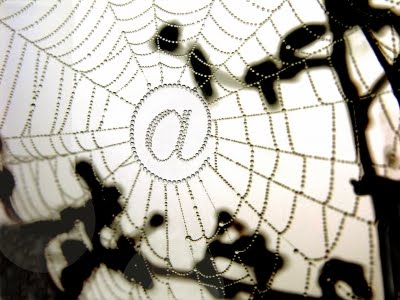 Vallis Blog August 2010