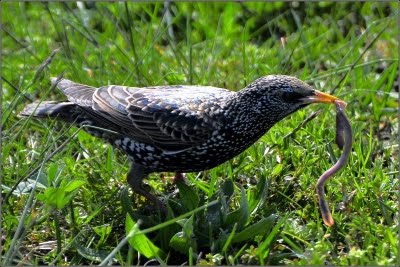 Vallis Blog August 2010