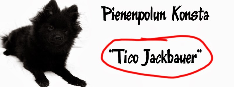 Pienenpolun Konsta aka Tico Jackbauer aka Tico