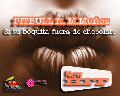 Hotel Room Service Pitbull Instrumental Hotel Room Service Pitbull Instrumental