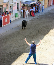 challenging the wild beast...é touro!!!