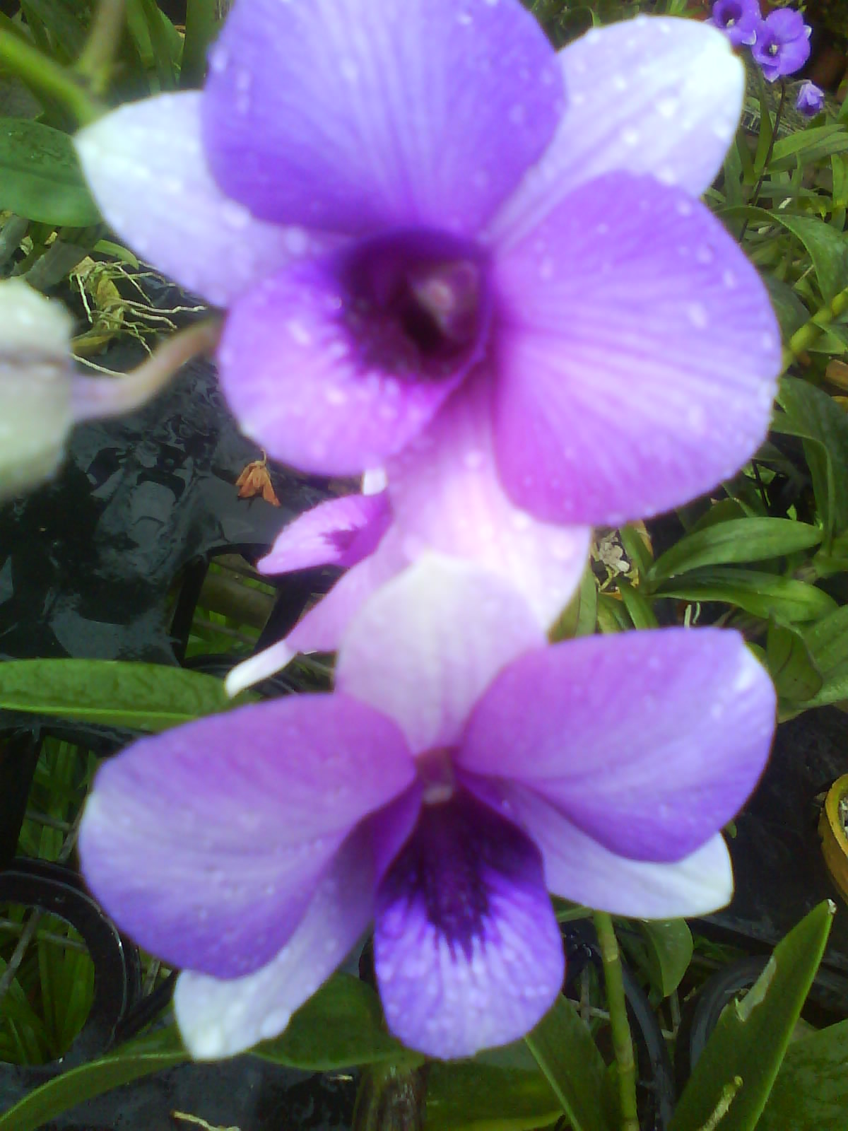 [DSC00155.JPG]