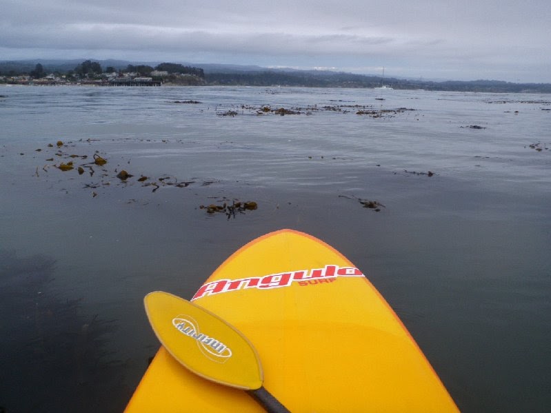 water visibility forecast water visibility forecast