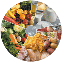 Entenda os sabores diversos dos alimentos