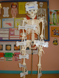 LOS HUESOS DE FELIPE