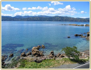 Karaka Nz