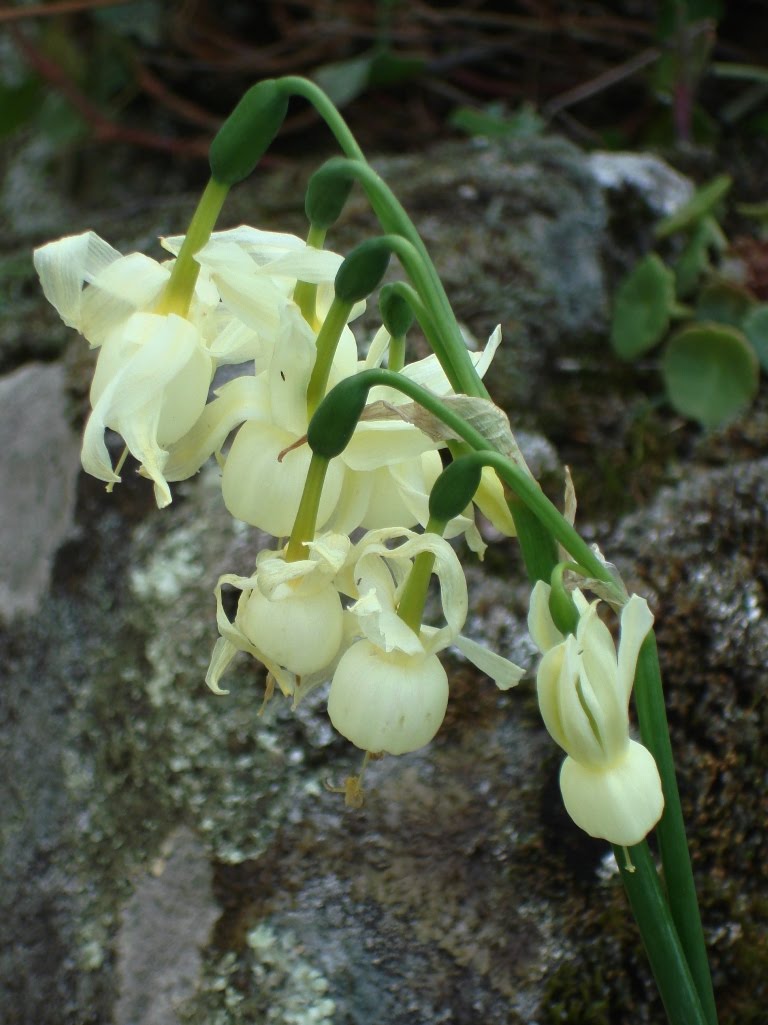 [DSC00544.JPG]