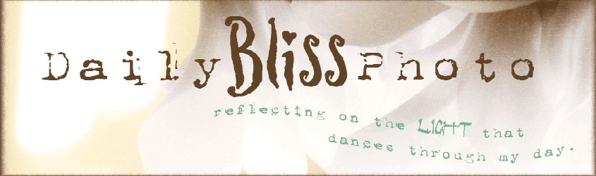 Daily Bliss Photo