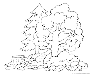 Proyecto Educativo de Medio Ambiente: Dibujos para colorear