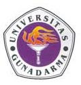 Universitas Gunadarma