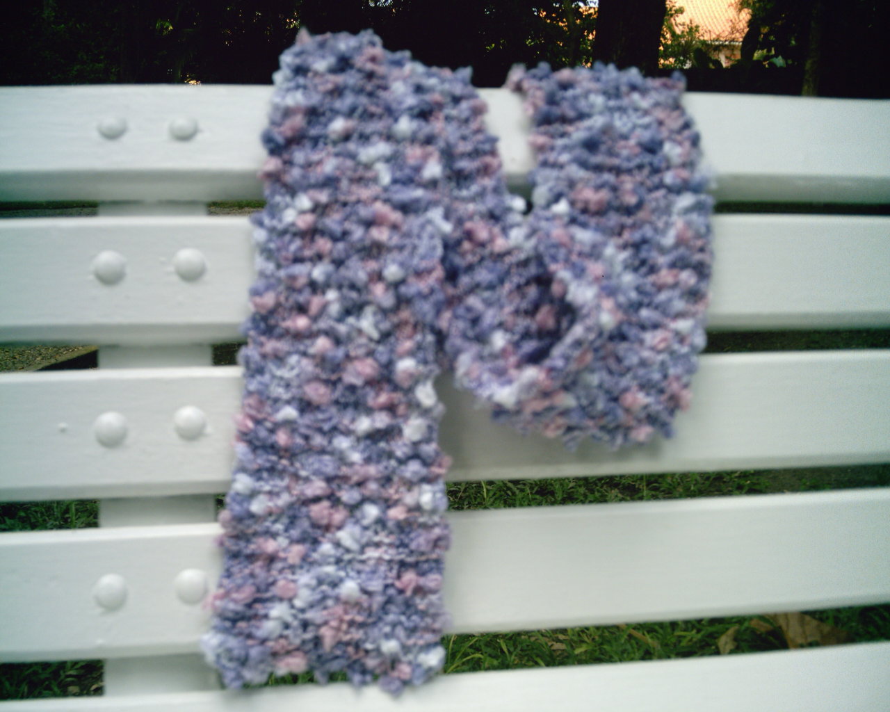 [CACHECOL+EM+RICCIO.JPG]