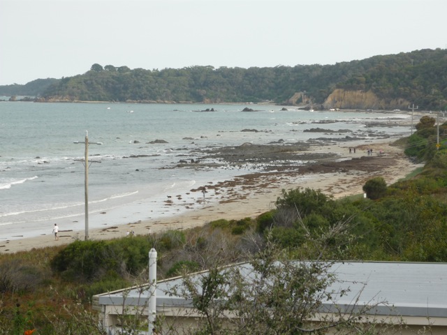 [P1000984.JPG]
