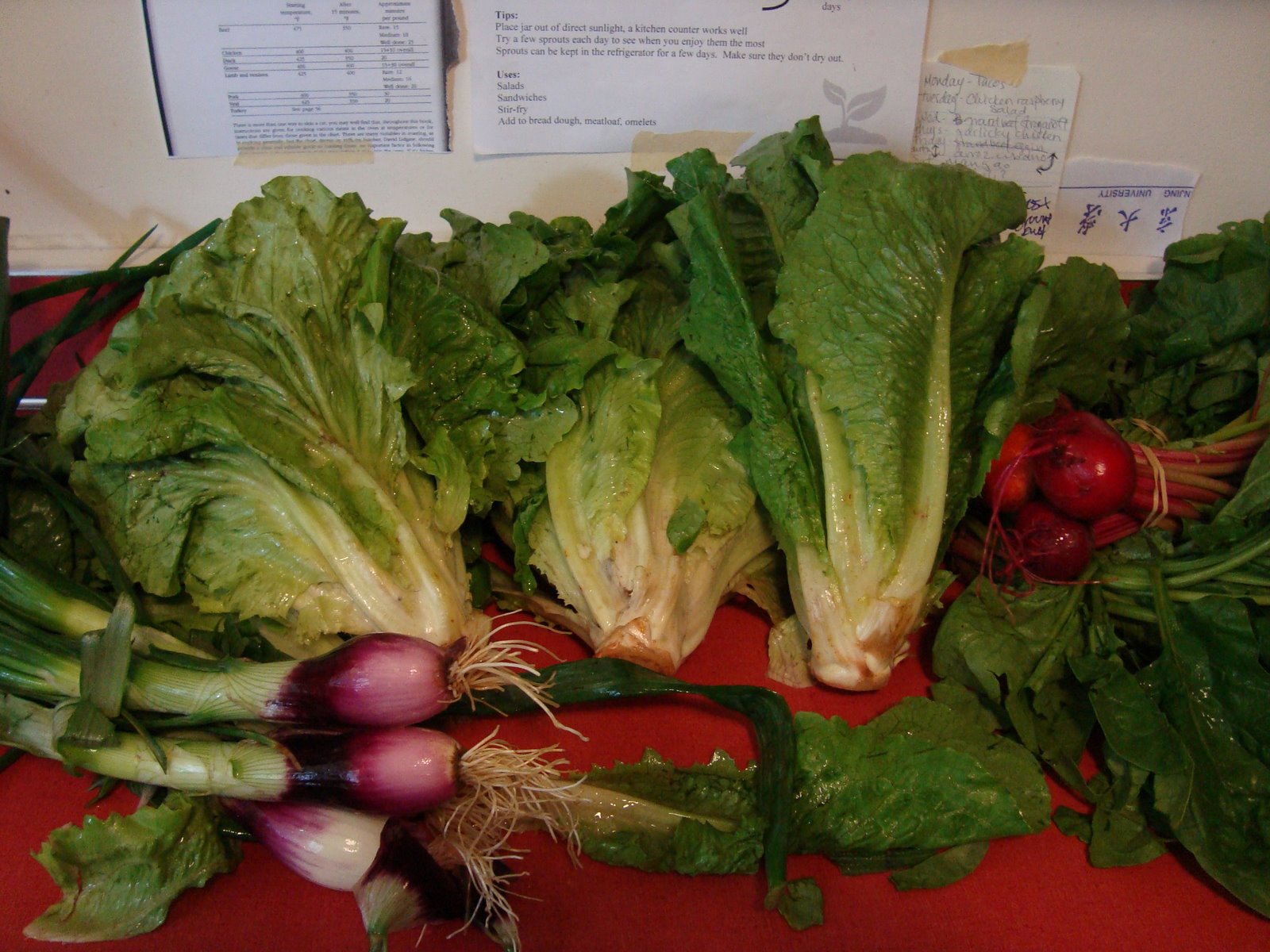 [DSC01941.JPG]