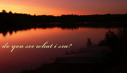 do you see what I sea?