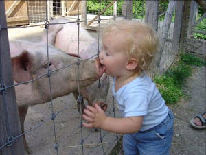 ¿Quién no adora el cerdo?