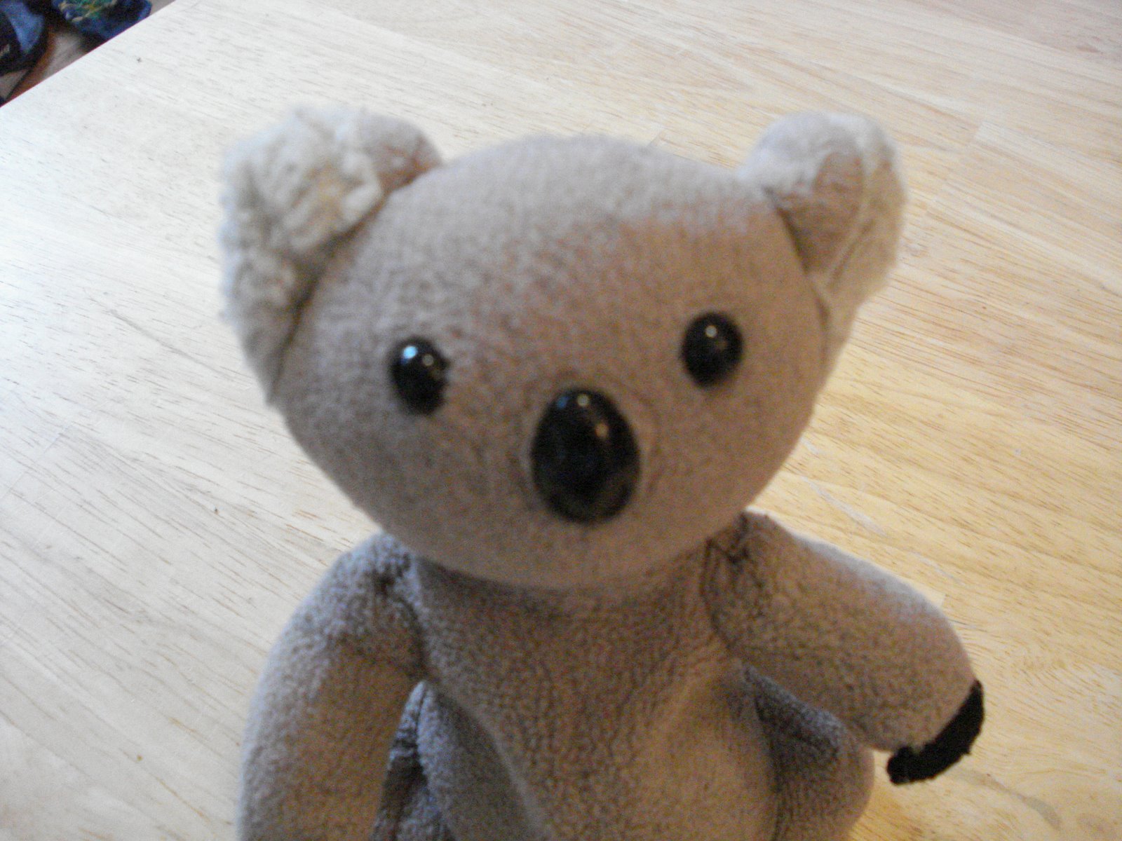 [kikibear.JPG]