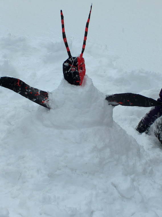 Teuflischer Pulverschnee